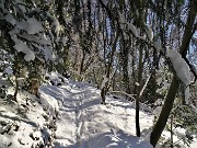 Monte Suchello (1541 m) da Costa Serina il 20 gennaio 2023  - FOTOGALLERY